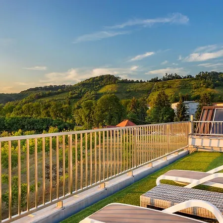 Contemporary With Rooftop Terrace In Maribor